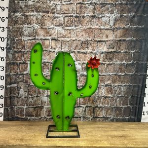 cactus 2D