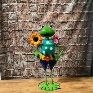 Frog With Sunflower