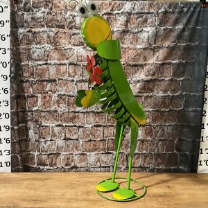 grasshopper standing