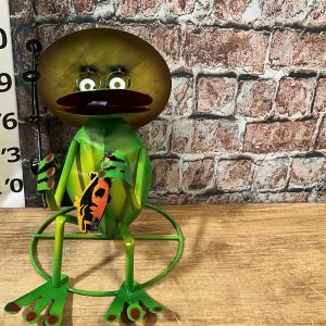 Fishing frog sitting