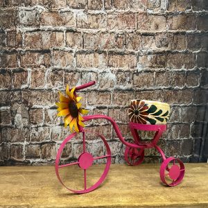 sunflower tricycle