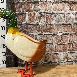 Duck lg