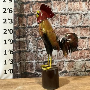 Rooster