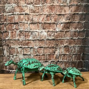 Turtle Set