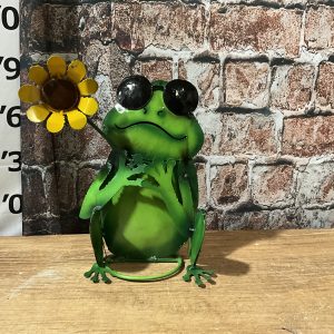 Frog w/Sun Glasses