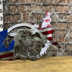 US Eagle Flag