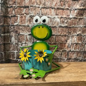 Frog Planter
