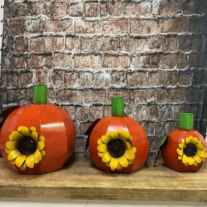 sunflower pumpkin set