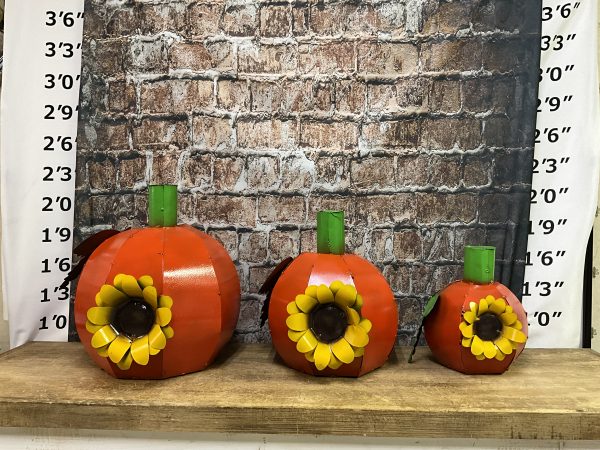 sunflower pumpkin set