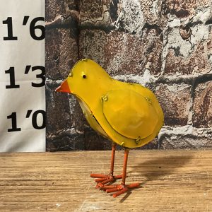 Baby Chick