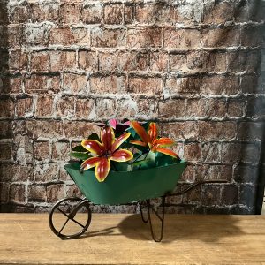 wheel barrel