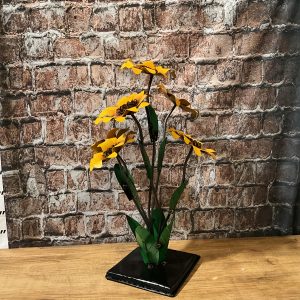 Sunflower Cluster Md