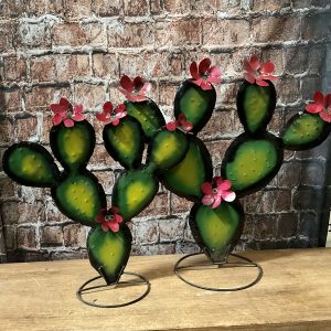 2pc Cactus