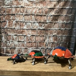 3pc turtle