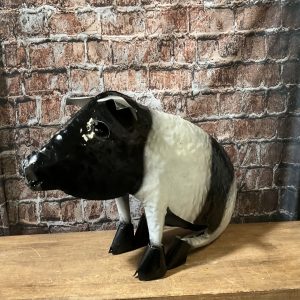 sitting pig