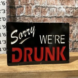 sorry we're drunk