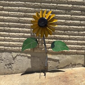 Sunflower Spinner