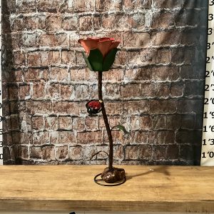 Flower w/rock SM