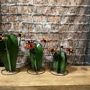 3pc Cactus
