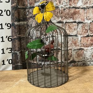 Cardinal /w Cage