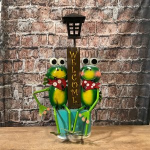frog welcome lamp
