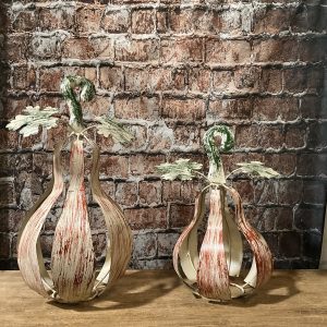 pumpkin 2pc