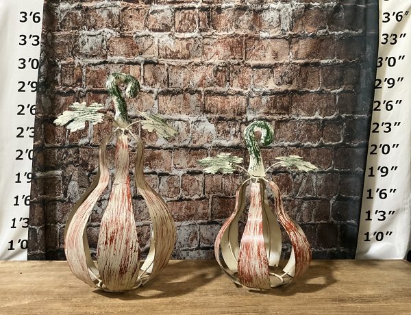 pumpkin 2pc