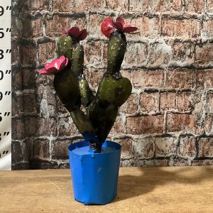Cactus Plant