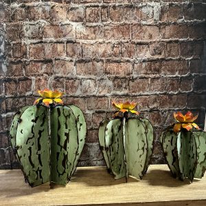 barrel cactus set