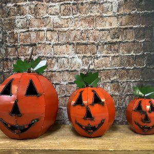 wire face pumpkin set
