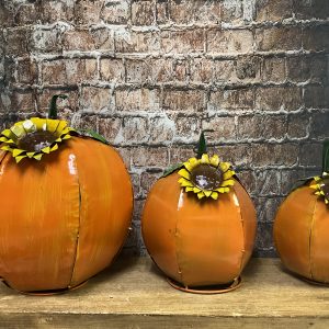 sunflower pumpkin set