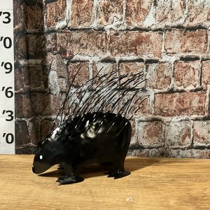 porcupine lg