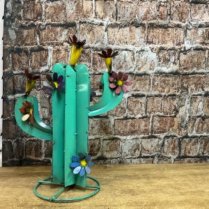 cactus with flower