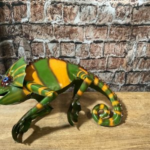 chameleons