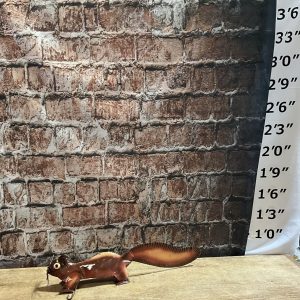 squirrel