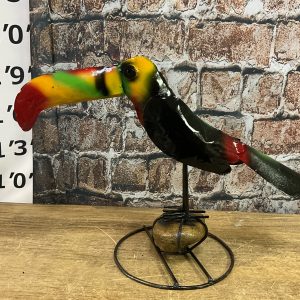 toucan with rock