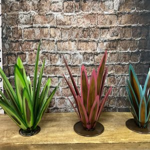 agave set