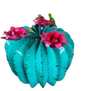 5ft barrel cactus
