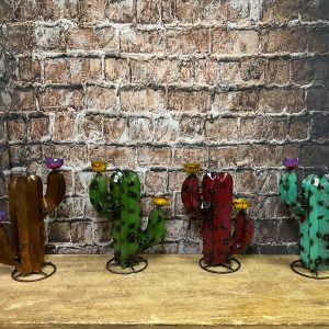 cactus(each)