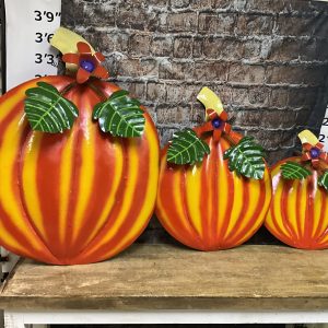 pumpkin set