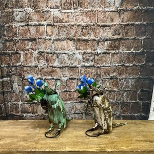 armadillo with flower