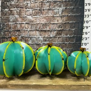 Barrel Cactus Set