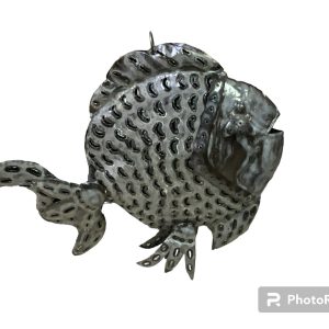 Iron Fish