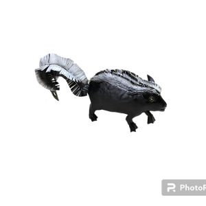 Skunk
