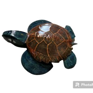 Sea Turtle Sm