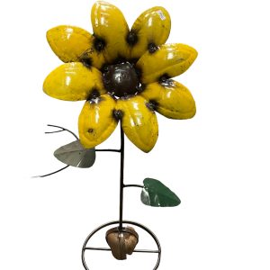 sunflower rock