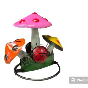 ladybug mushroom