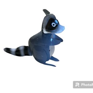 raccoon