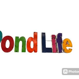 pond life