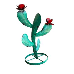 Chile cactus